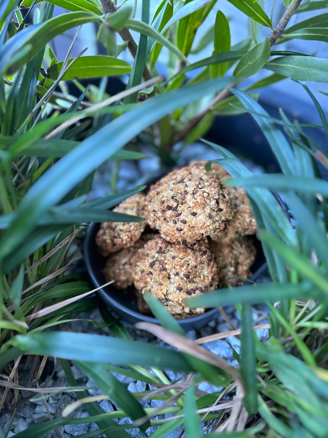 Flaxseed, coconut and oat cookies