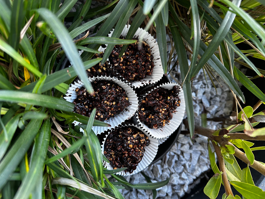 Choc- coconut and buckwheat choc crackles